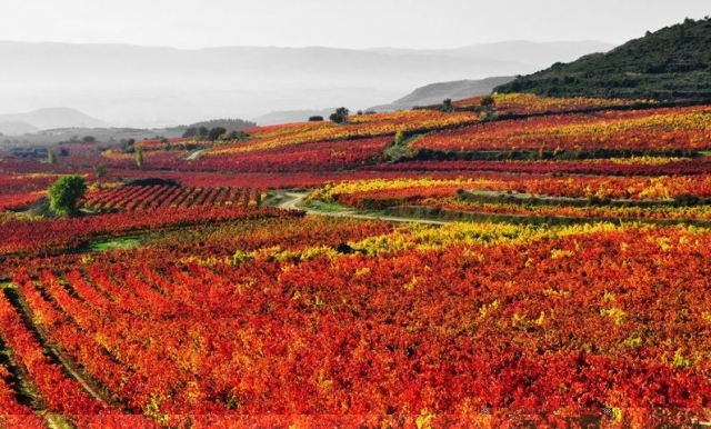 un paisaje increible